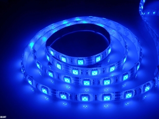 Luz flexibles Azul 5050 24V tira de LED 60 LED Roll 300SMD IP65 JALN7