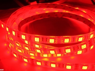 Red 5050 24V LED strip flexible light 60 leds 5m Roll 300SMD IP65 Waterproof JALN7