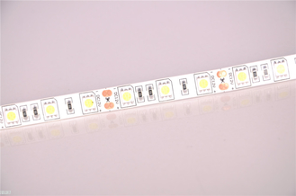 LED strip 5050 smd light 12V 24V IP65 Warm White 60LEDs per meter 300LEDs 5m 3 resistences