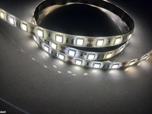 LED strip light flexible 5050 smd withe HIGH LUMEN JALN7